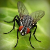 /album/quid-pro-quo/photolia-a01-jpg/