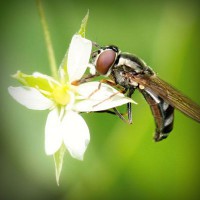 /album/quid-pro-quo/photolia-a02-jpg/