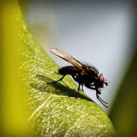 /album/quid-pro-quo/photolia-a04-jpg/