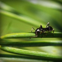 /album/quid-pro-quo/photolia-a05-jpg/