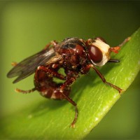 /album/quid-pro-quo/photolia-a06-jpg/