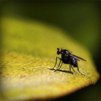 /album/quid-pro-quo/photolia-a07-jpg/