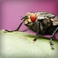 /album/quid-pro-quo/photolia-a08-jpg/